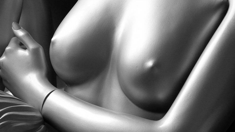 Plastic Models 1.4 by Ingo Laue