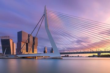 Avondrood boven de Erasmusbrug van Bas Meelker