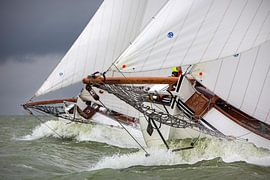 Lemsteraak in action by Jasper van Staveren