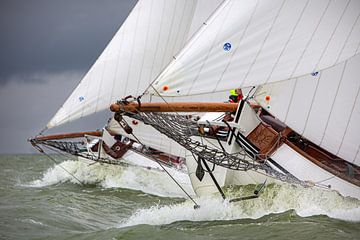 Lemsteraak en action