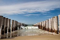 Die Wellenbrecher am Strand von Domburg, Zeeland von Martijn van der Nat Miniaturansicht