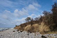 High bank during storm by Ostsee Bilder thumbnail
