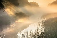 Sonnenstrahlen, Sonnenharfen, Kanal, Wasser, Morgen, Buinen-Schoonoord-Kanal