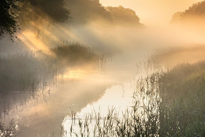 Sunbeams, sun harps, canal, water, morning, Buinen-Schoonoord Canal by Karin Broekhuijsen