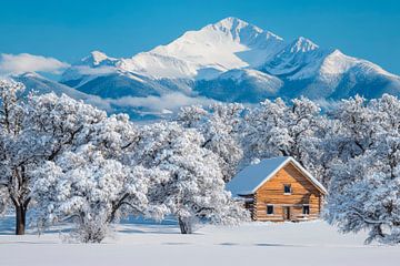 Winterlandschap met hut van Poster Art Shop