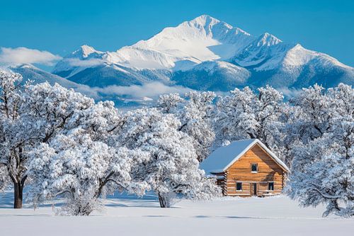 Winterlandschap met hut