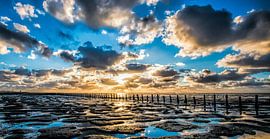 Wad Wierum sur Reint van Wijk