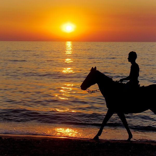 Paard bij ondergaande zon by Karin Keesmaat Kijk-Kunst
