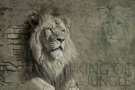 King of the Jungle by Michar Peppenster