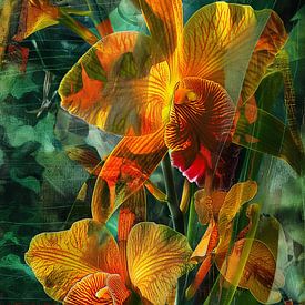 Orchideeënpracht in Oranje Mystiek van Color Square