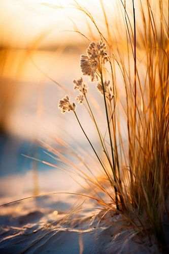 Beach Impressions No 1