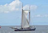 Het bruine vloot schip Vliegende Draek