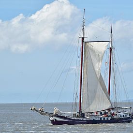 Das braune Flottenschiff Flying Dragon von Piet Kooistra