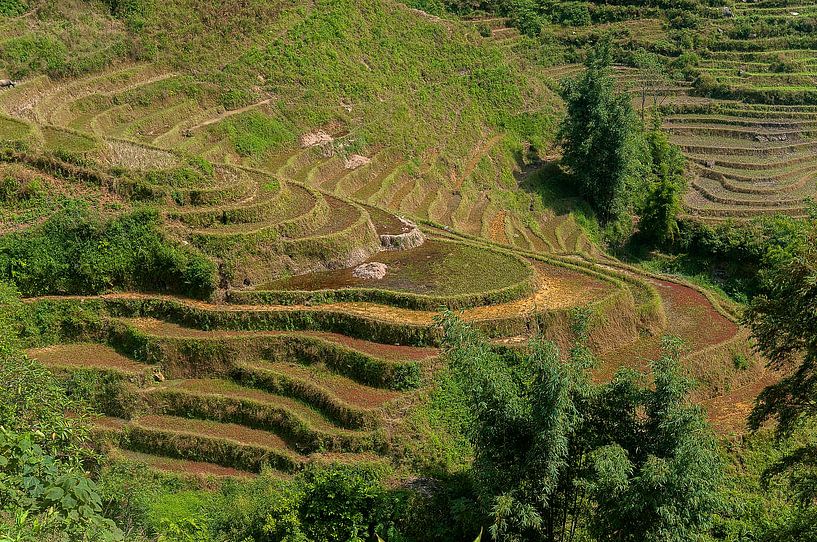 Vietnam: Omgeving Sa Pa (Sa Pa) par Maarten Verhees