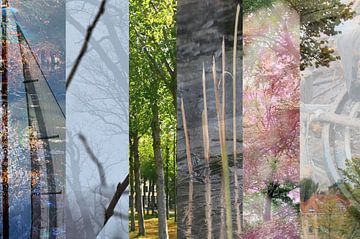 Collage of moments by Art. by Janine