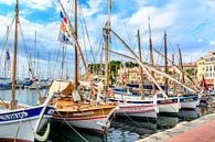 Traditional boats in port of Sanary-sur-Mer , Var, France von 7Horses Photography Miniaturansicht