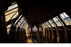 National History Museum London von Mireille Schipper