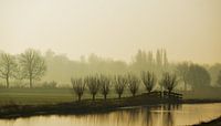 Morningfog in polder near Zoetermeer on a Dutch winterday