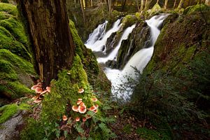 Wasserfall im Wald