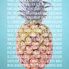 Fruities in colour Pineapple by Sharon Harthoorn