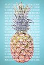 Fruities in colour Pineapple by Sharon Harthoorn thumbnail
