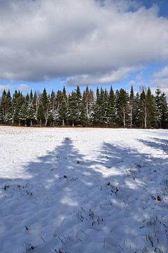 De eerste sneeuw in de herfst van Claude Laprise