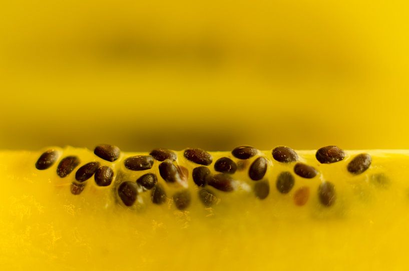 Gouden kiwi slice von Christopher Lewis