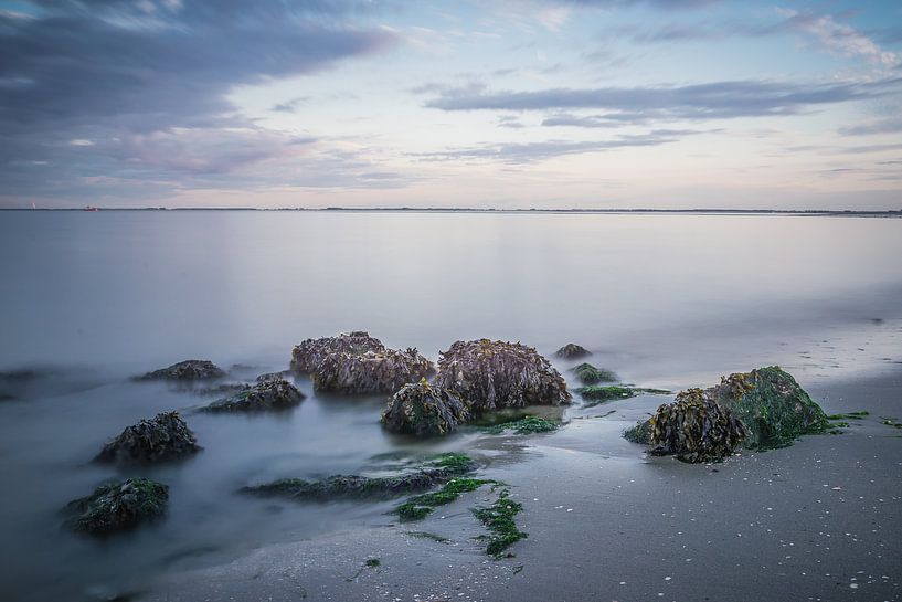 Easy water by Bert Zuidweg