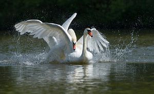 Power of Love by Harry Eggens