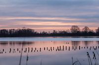Sunrise Vinkeveen Botshol!