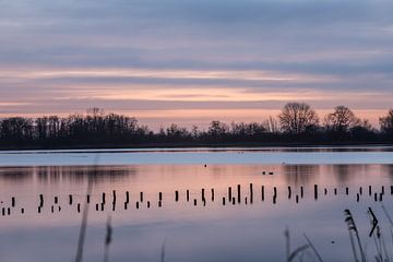 Zonsopkomst Vinkeveen Botshol! van Peter Haastrecht, van