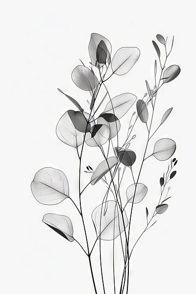 Eucalyptus by Poster Art Shop