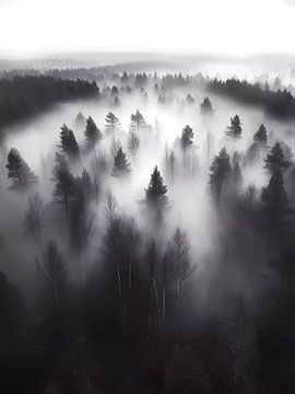 Mist in het bos van haroulita