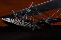 Sikorsky by night