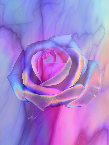 Le popartrose en rose