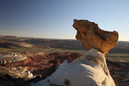 Hoodoo Forest (Rimrocks North) Grand Staircase-Escalante National Monument in zuidelijk Utah, Vereni