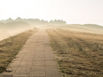 Early in the morning on a dike at the North Sea by Animaflora PicsStock