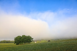 Paysage estival près du domaine de Dauenberg et de sa chapelle, près d'Eigeltingen dans le Hegau - arrondissement de Constance sur BlattArt - Christine Horn