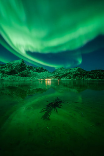 Nordlicht über dem Fjord