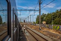 Trein