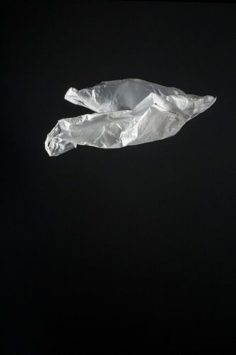 white plastic bag (serie 2/2)
