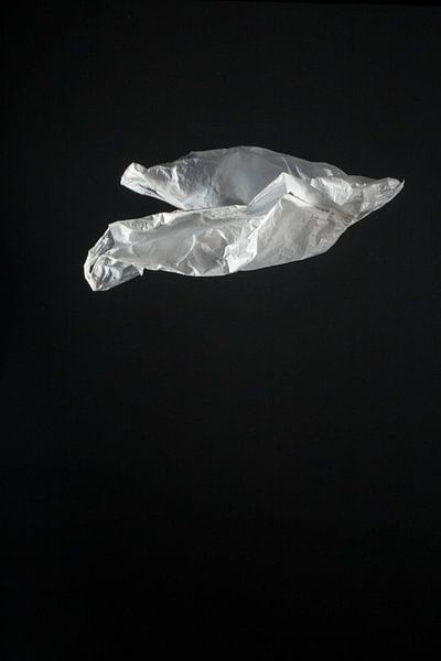 white plastic bag (serie 2/2) van Mariska Vereijken