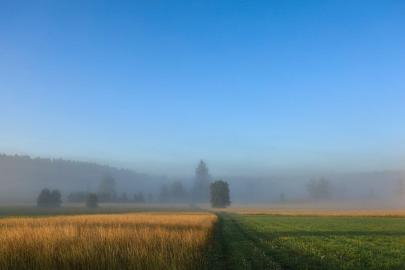 Sentier de randonnée à travers l'Irndorfer Hardt dans le parc naturel du Haut-Danube par BlattArt - Christine Horn