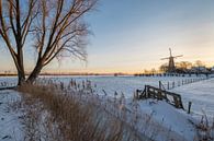 Hollands winterlandschap van Moetwil en van Dijk - Fotografie thumbnail