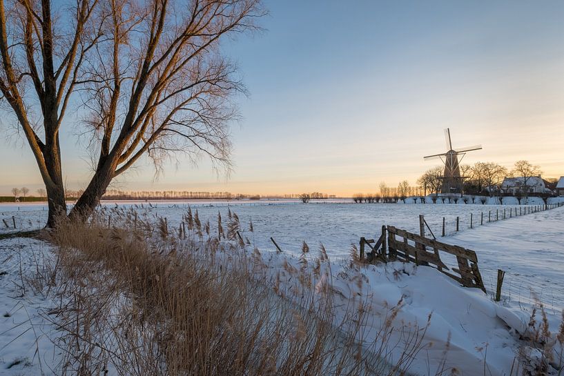 Hollands winterlandschap van Moetwil en van Dijk - Fotografie
