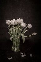 Tulipes