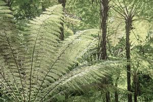 Botanische tuin bij Monserrate Palace in Sintra, Portugal art print - natuur en reis fotografie van Christa Stroo fotografie