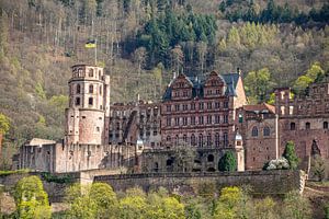Schloss Heidelberg