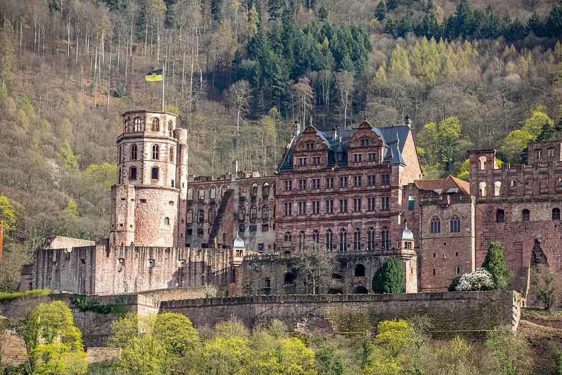 Heidelberg Castle by t.ART