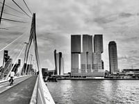 Erasmusbrug